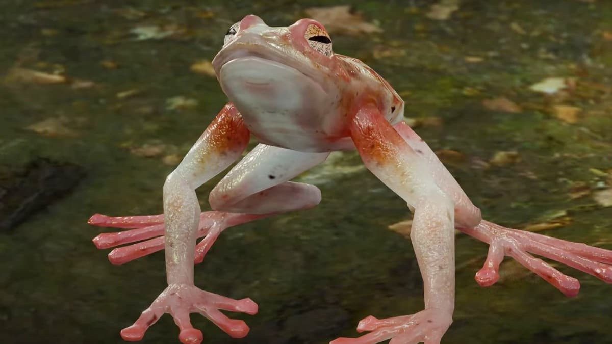 Baldur's Gate 3 Addled Frog