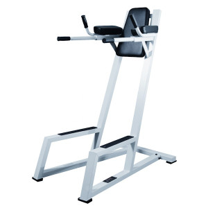 York Barbell (STS) Commercial VKR Dip Station