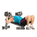 Powerblock Folding Weight Bench