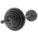 Body-Solid Black Cast Iron Olympic Weight Set