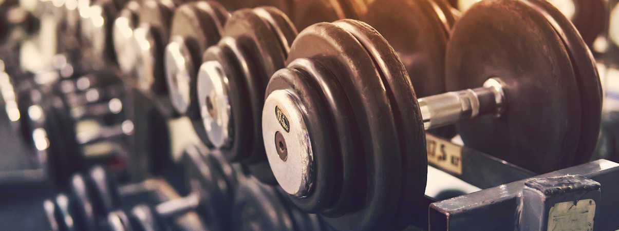 Commercial Dumbbells in Gym