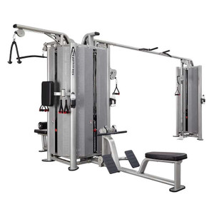 Steelflex (#JG5000S) 5-Station Jungle Gym