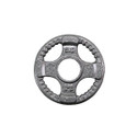 Body-Solid 2.5 lb Cast Iron Olympic Weight Plate