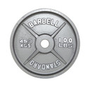 USA Sports 100 lb Cast Iron Weight Plate